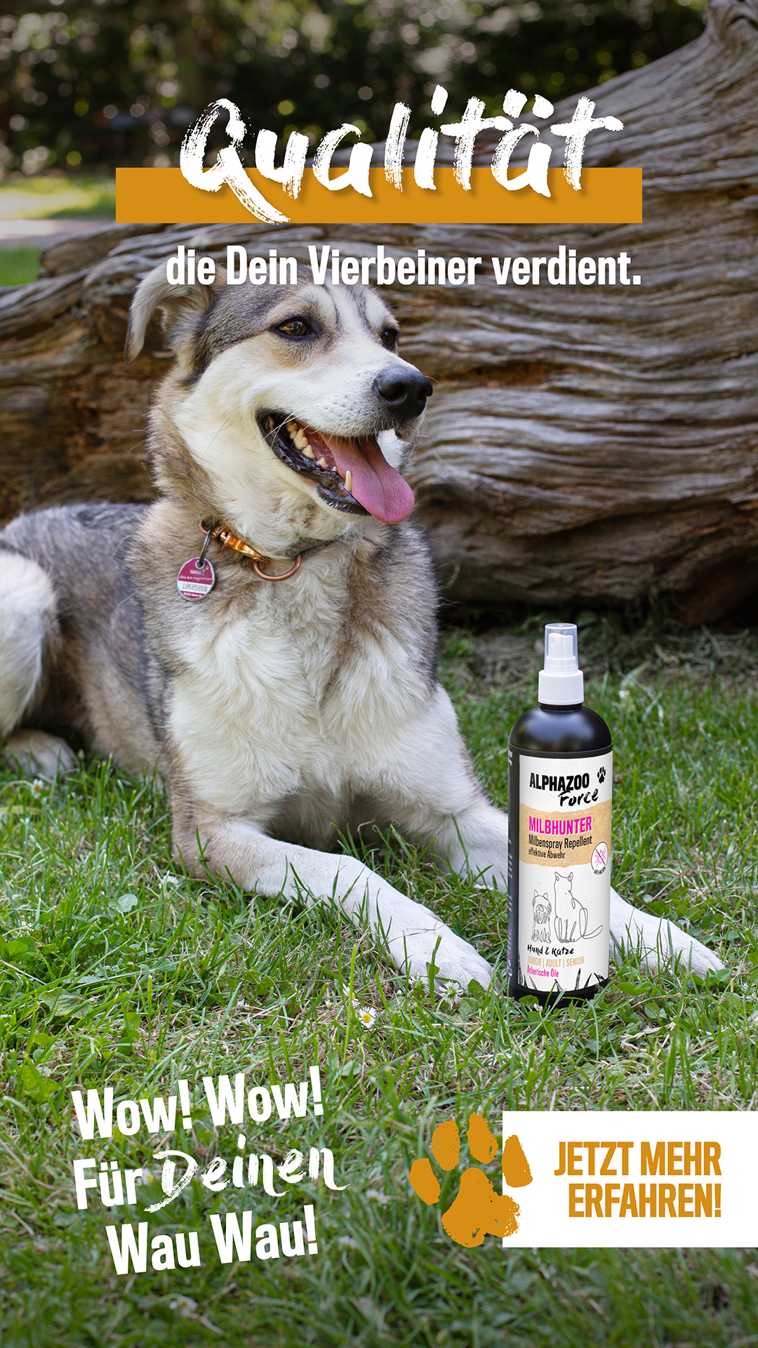 Hund im Gras, Pflegeprodukt von ALPHAZOO, Text 'Qualität, die Dein Vierbeiner verdient.', 'Wow! Für Deinen Wau Wau!', 'Jetzt mehr erfahren!